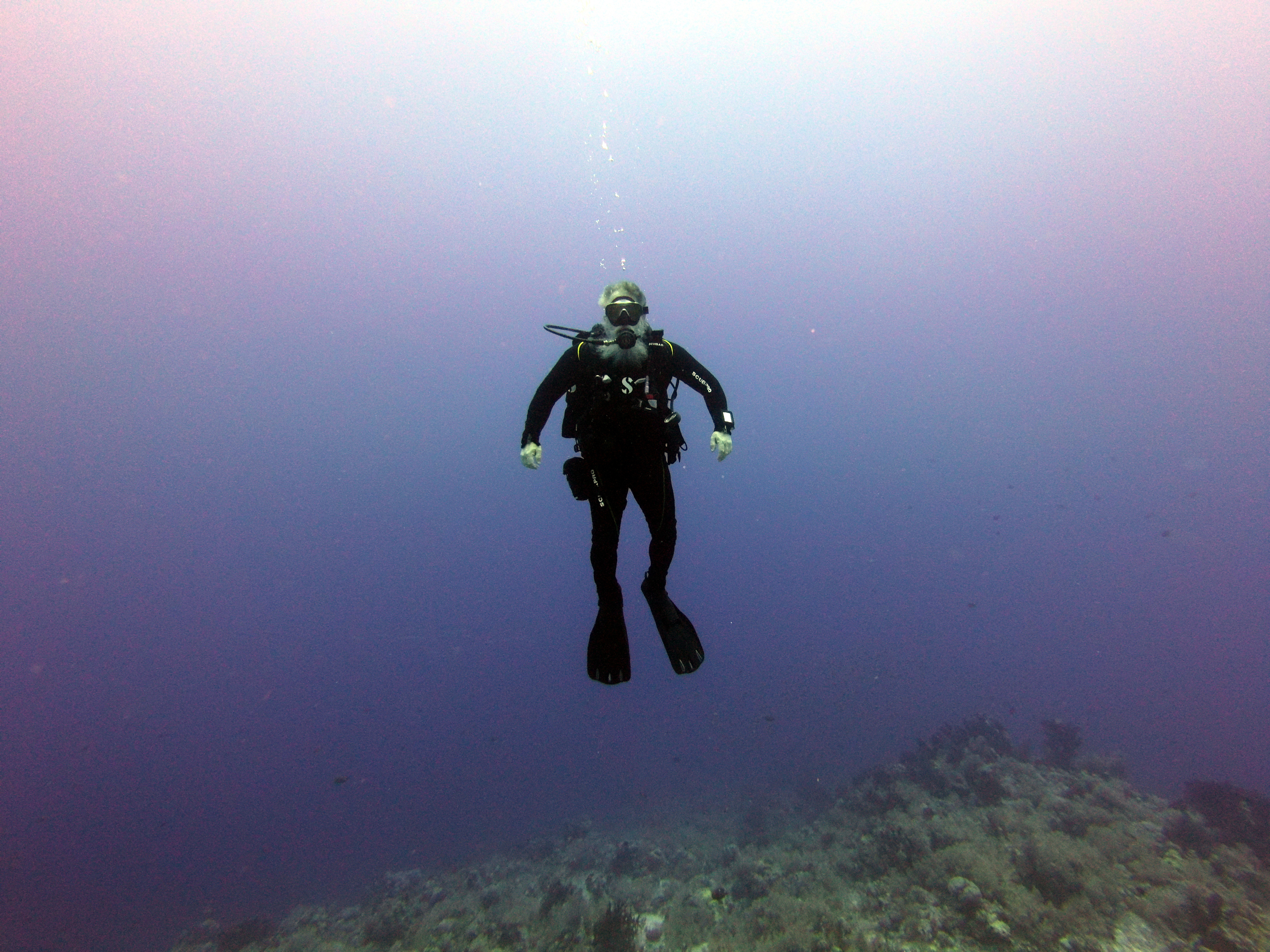 VikingDiver on Shark Reef