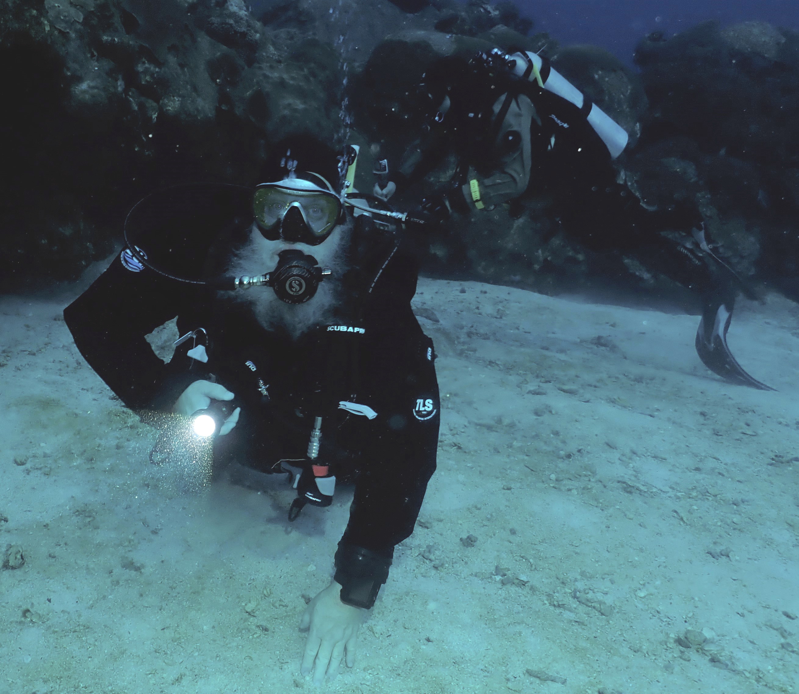 VikingDiver
