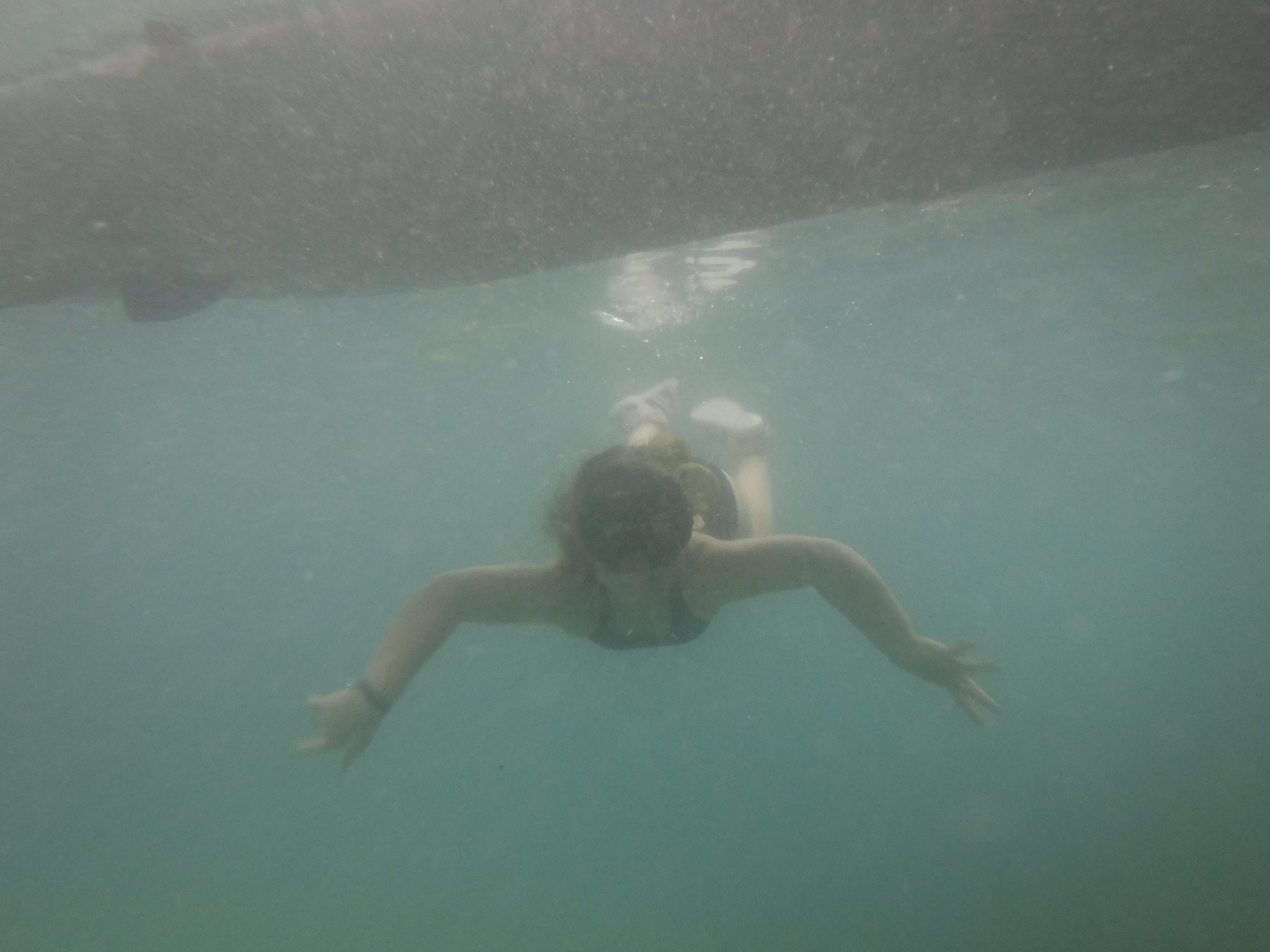 Vivi - CHUM's Freediver
