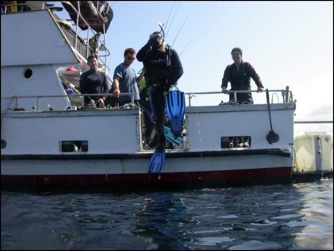 Volans with the Giant Stride