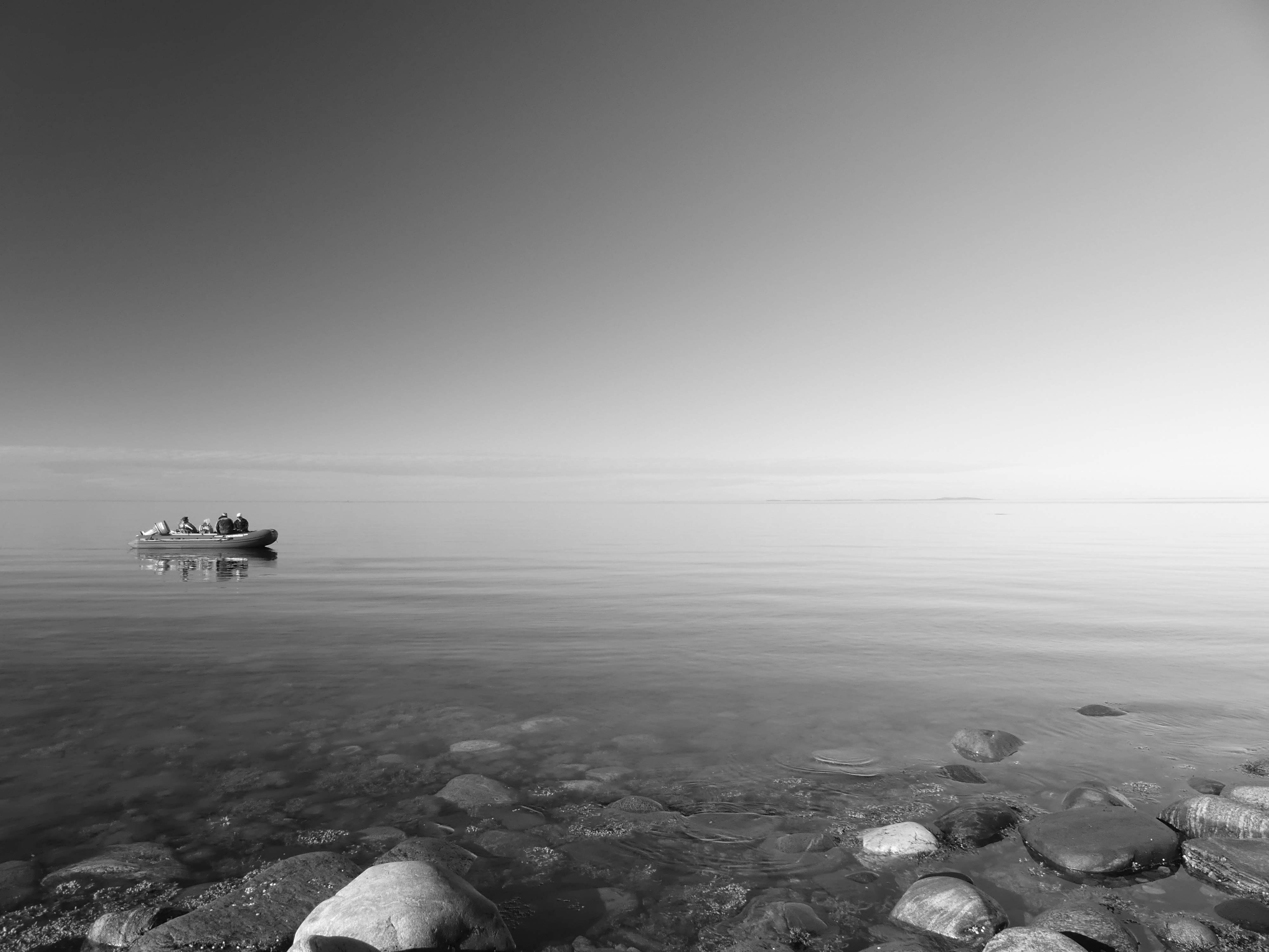 Waiting for the Belugas