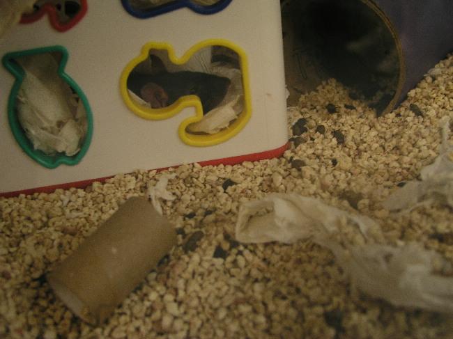 Wall Kayaking - the Return