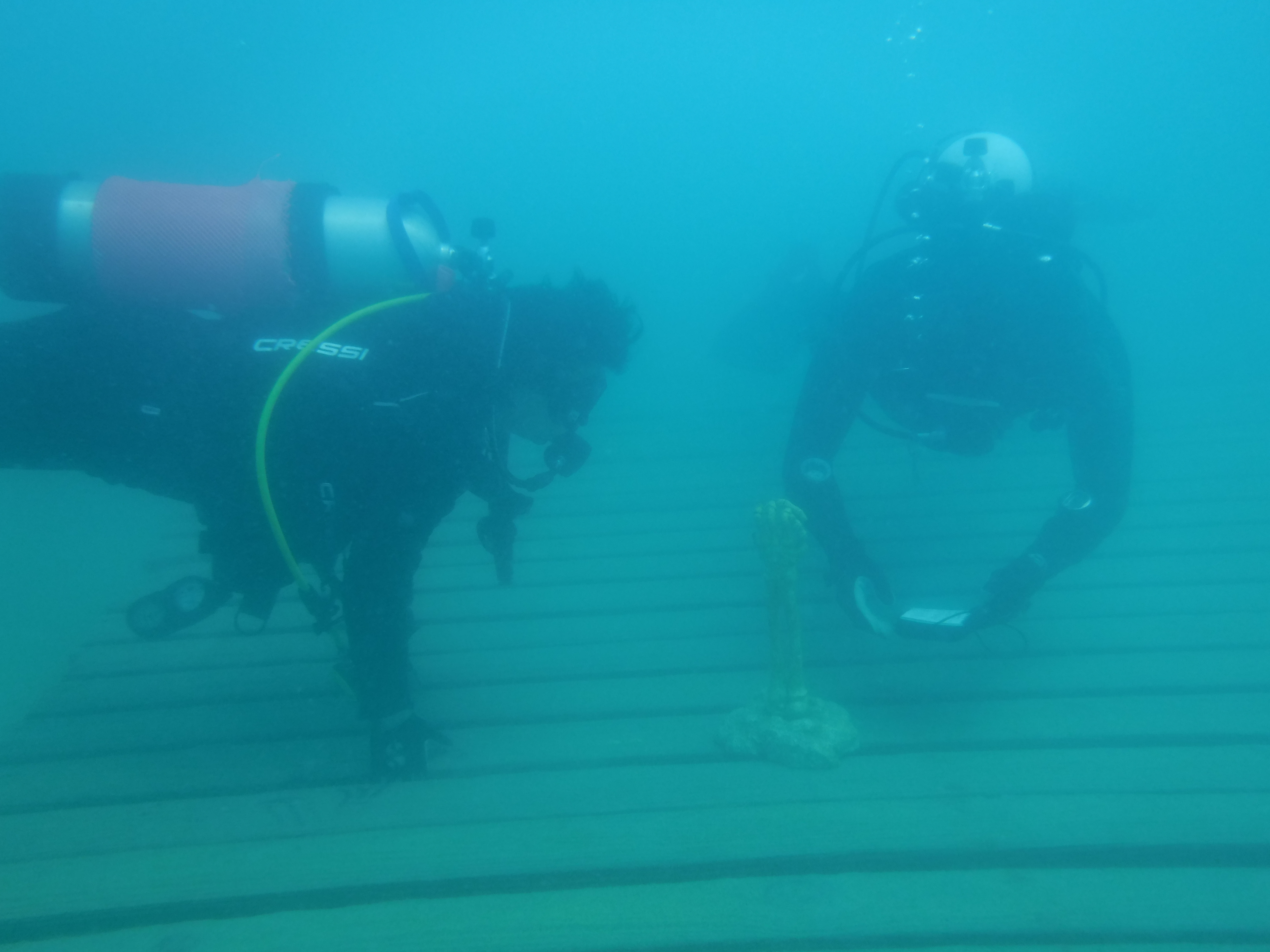 Wanderwoman And 24% Decide Where To Head Next - May Blue Lagoon