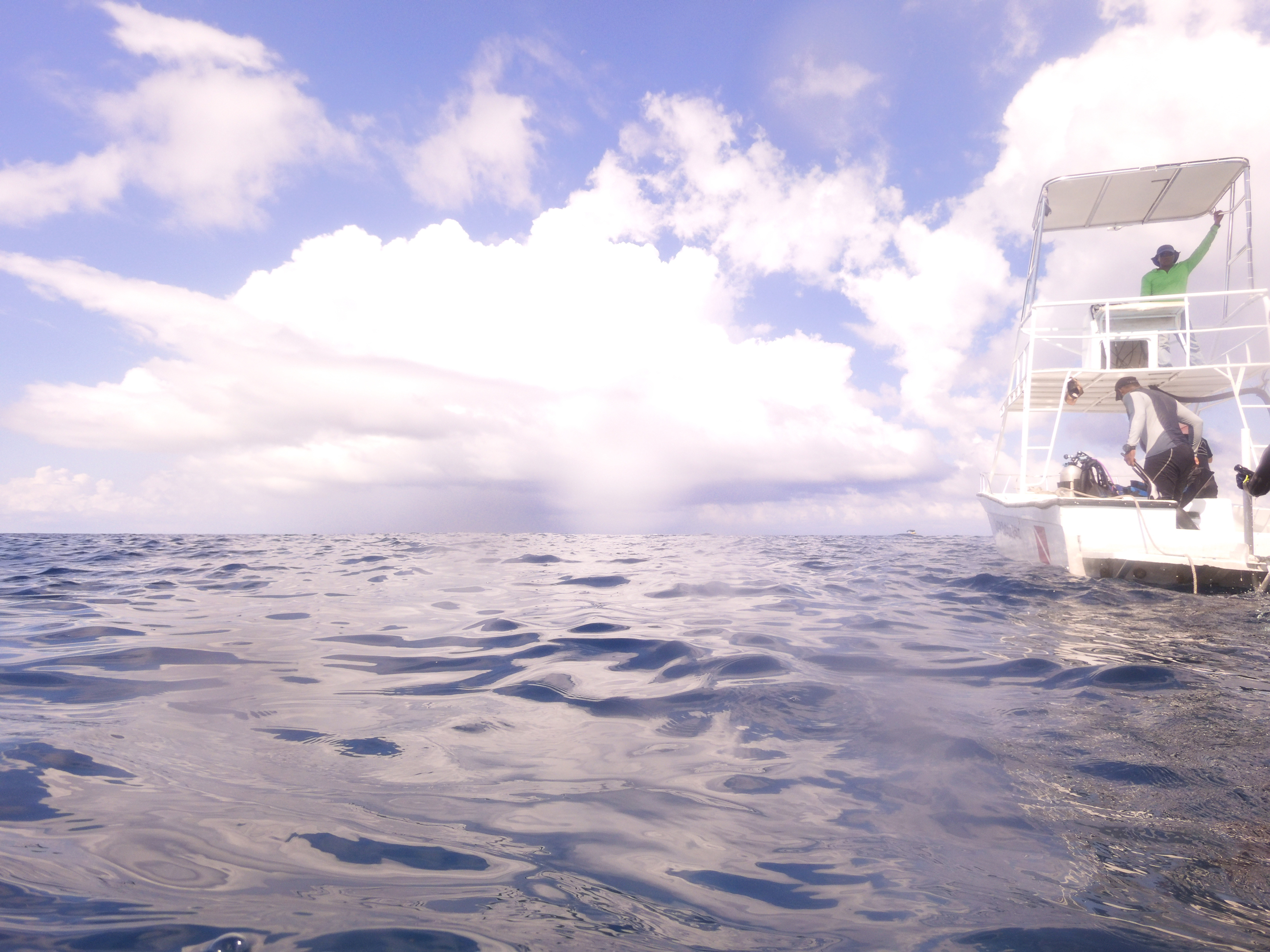 Water spouts when we came up from the Texas dive