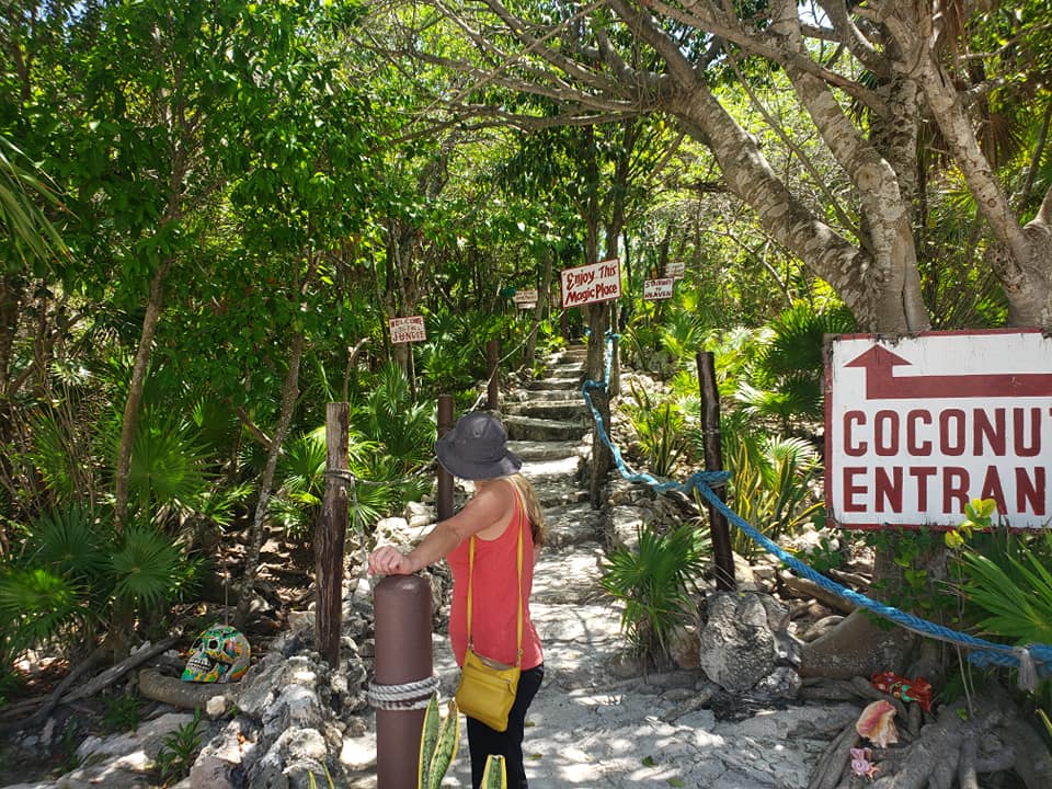 Watermonkee contemplates the climb up to Coconuts