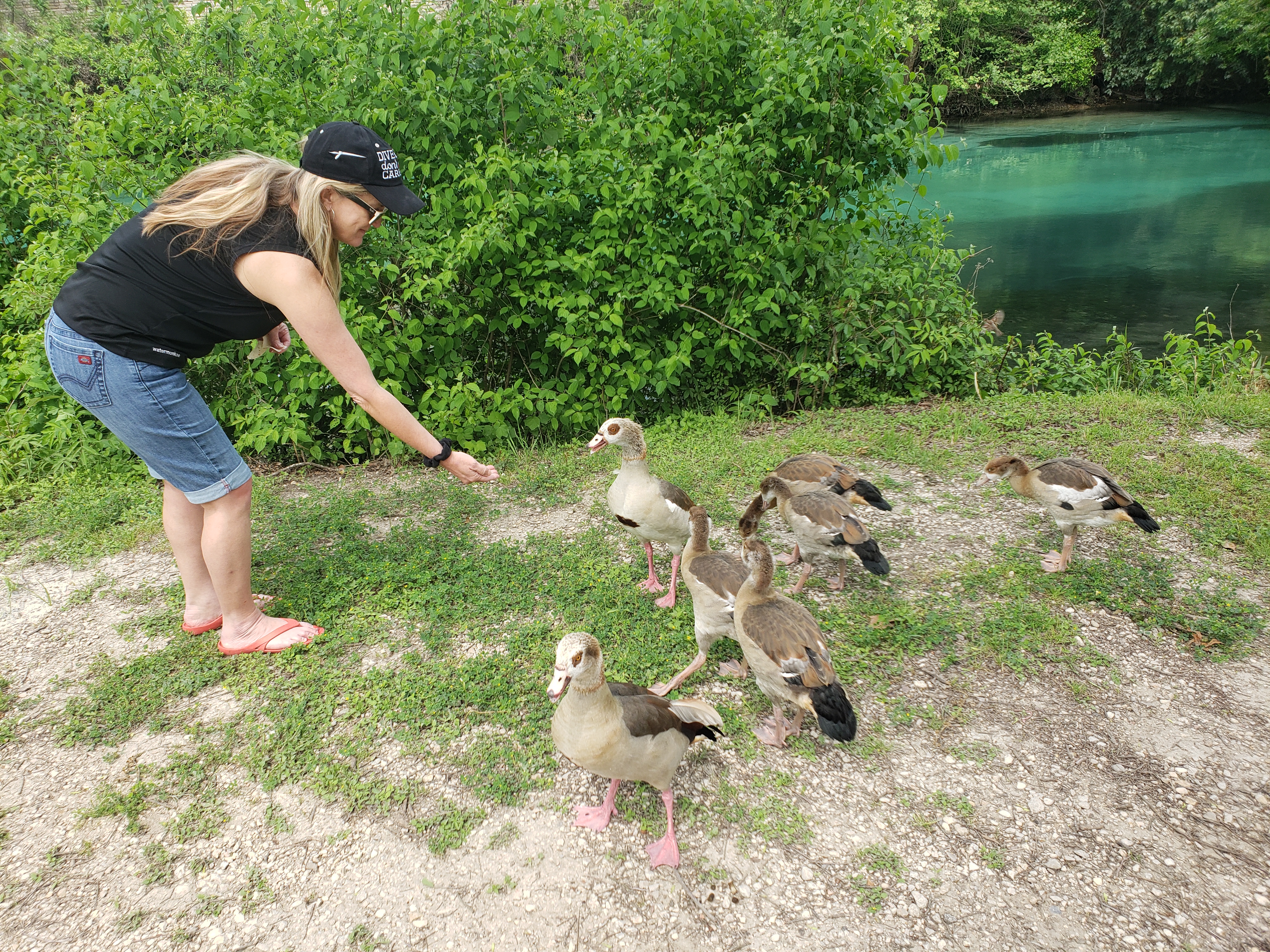Watermonkee feeds our duck family