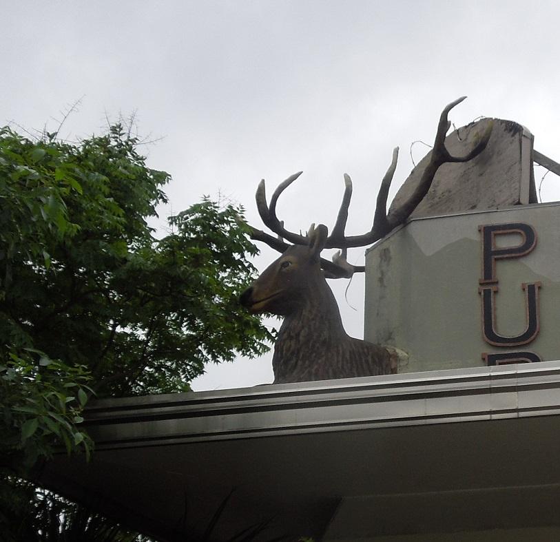 we met under the head of the stag