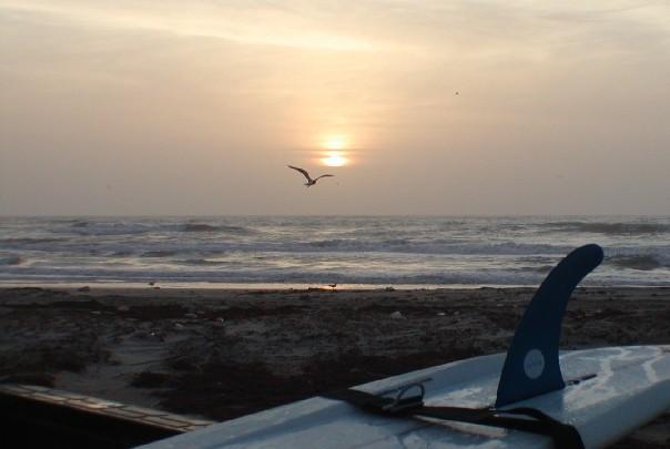 Welcome to South Padre