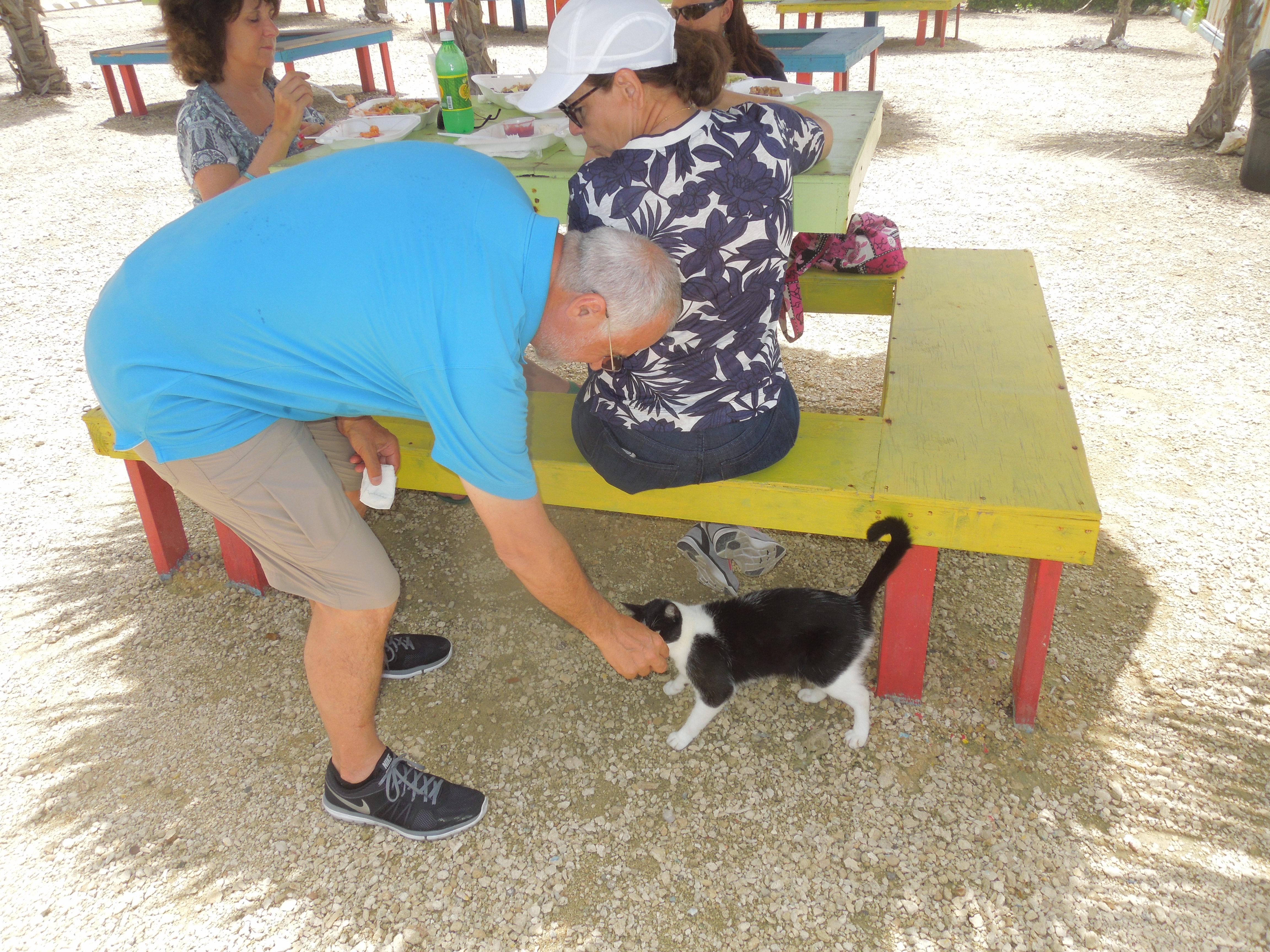 Well fed kitty