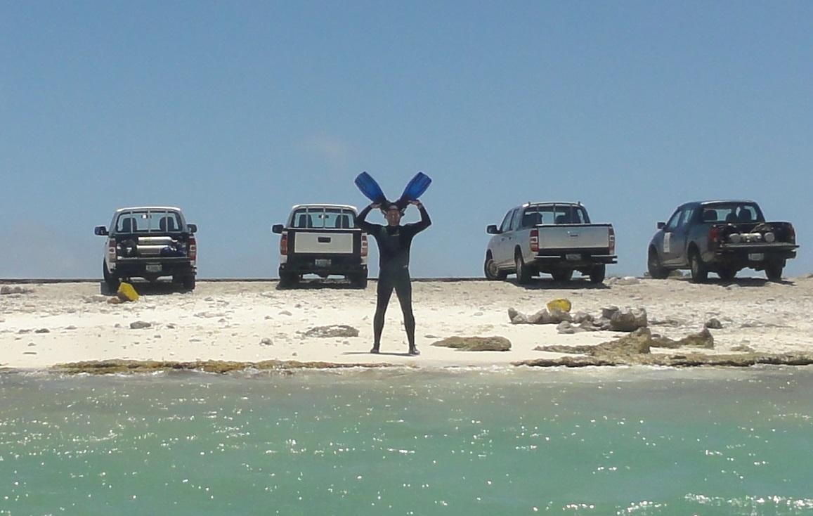 We're all in the water