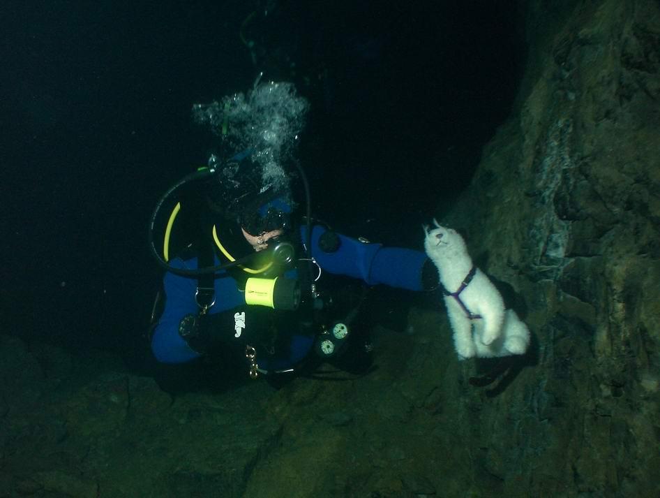 Wet and Reefhound Going Underground