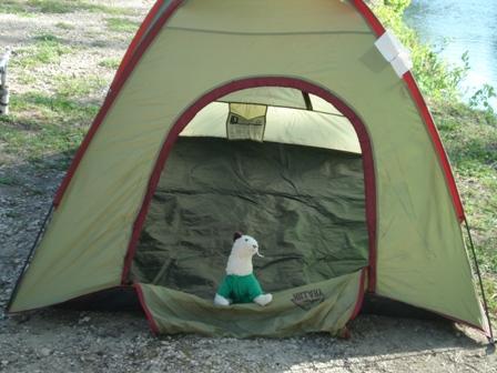 Wet checking out Cold's tent