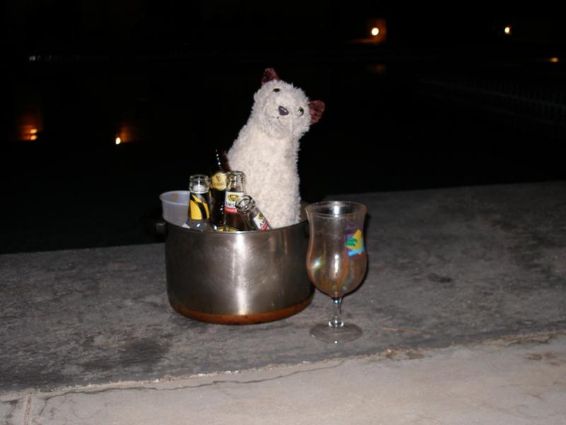 Wet Enjoying Her Last Night in Bonaire