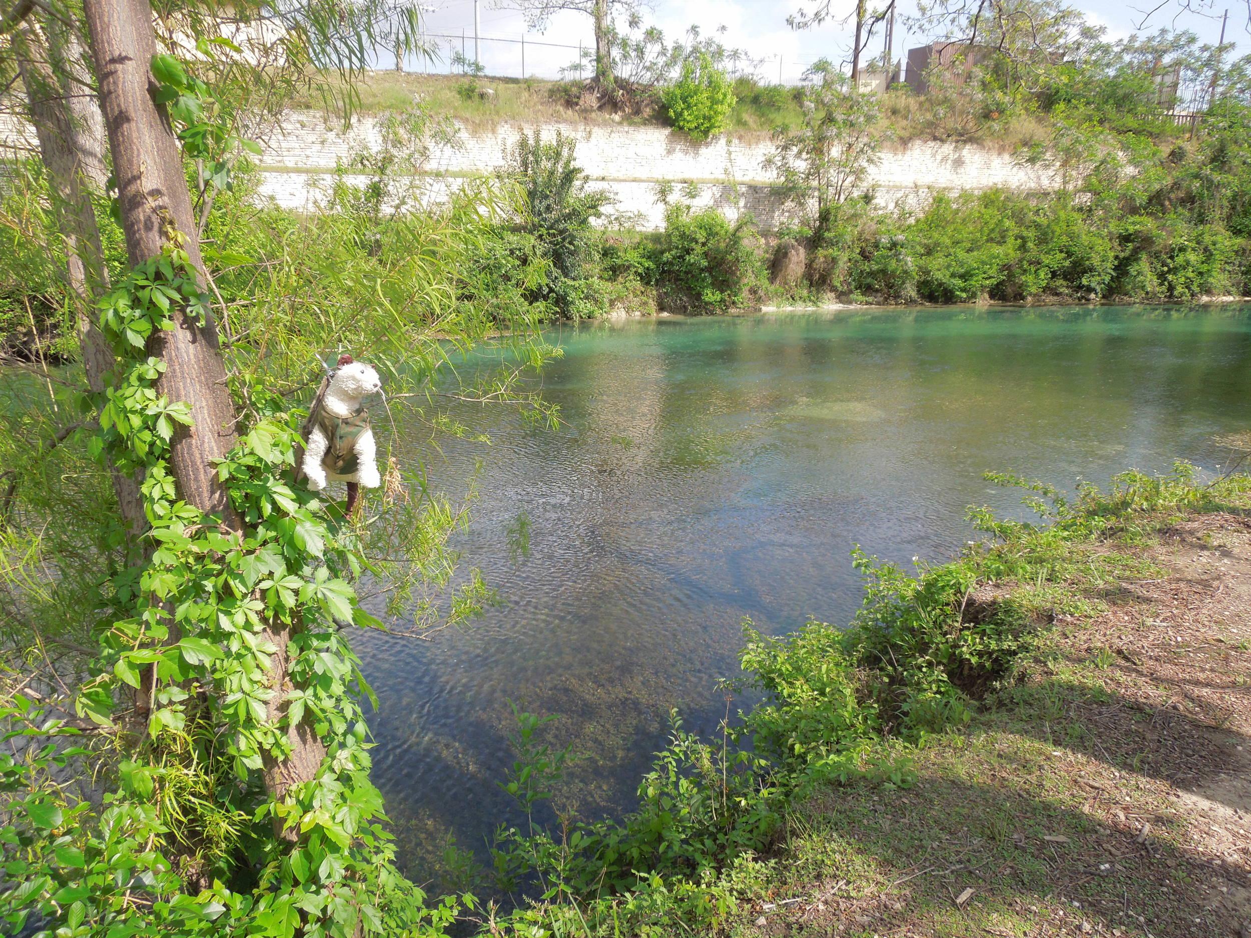 Wet hangin out riverside