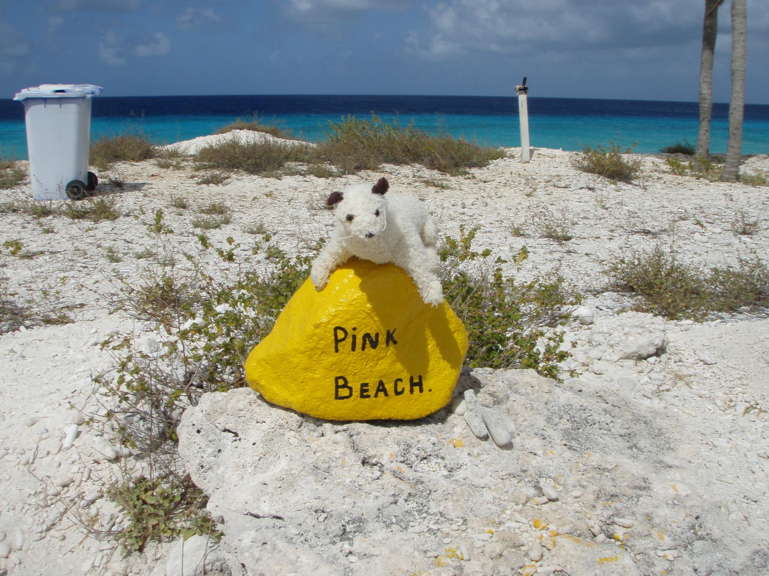Wet in Bonaire