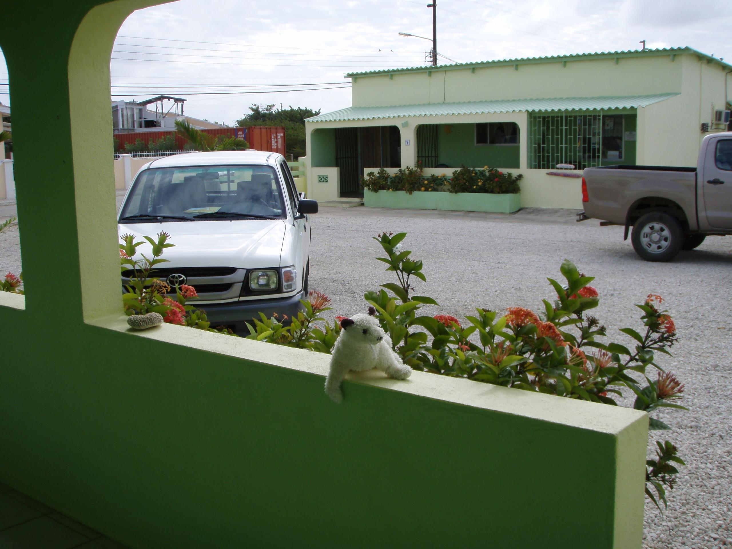 Wet in Bonaire