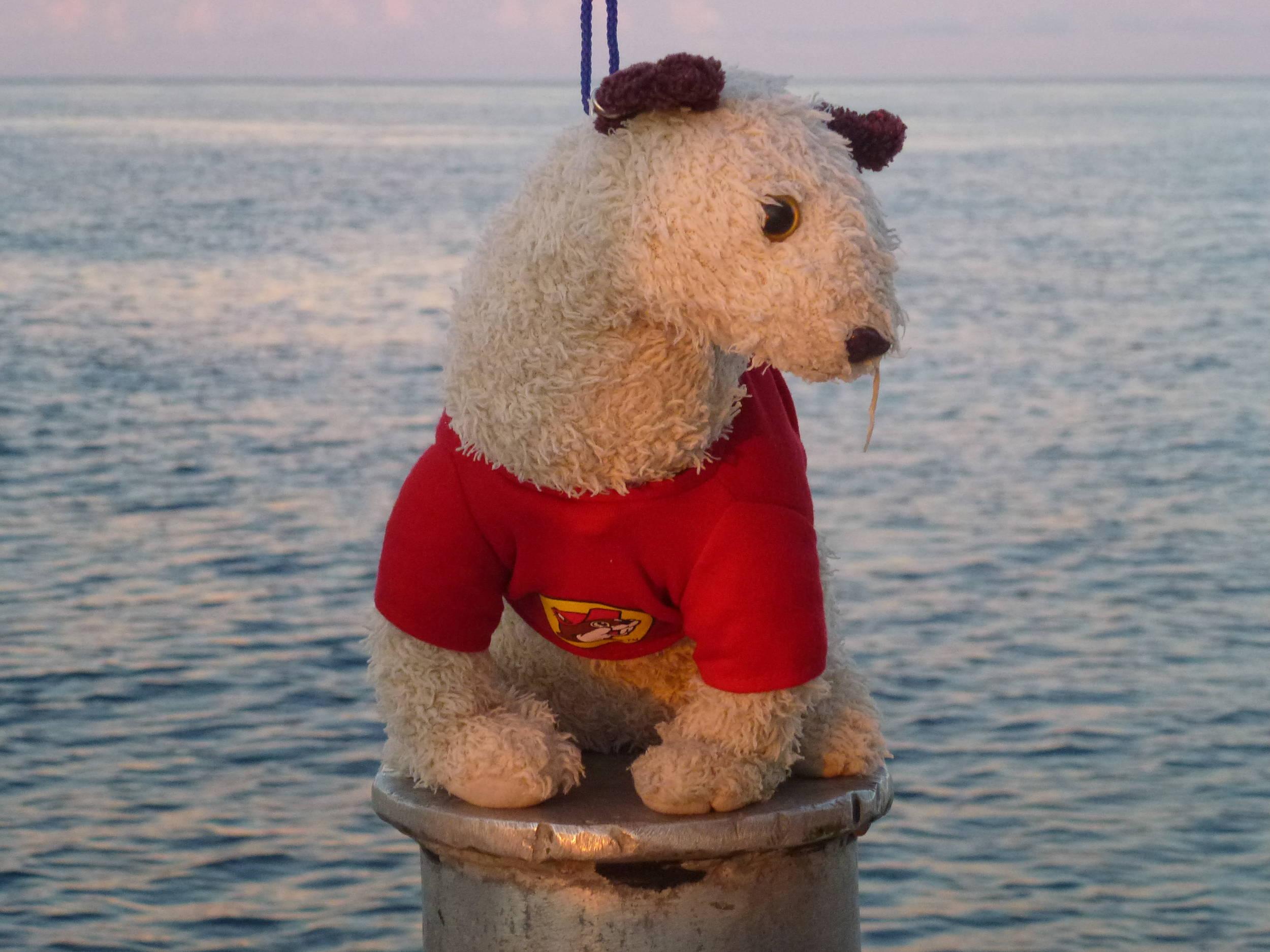 Wet in her Buc-ee's shirt 2