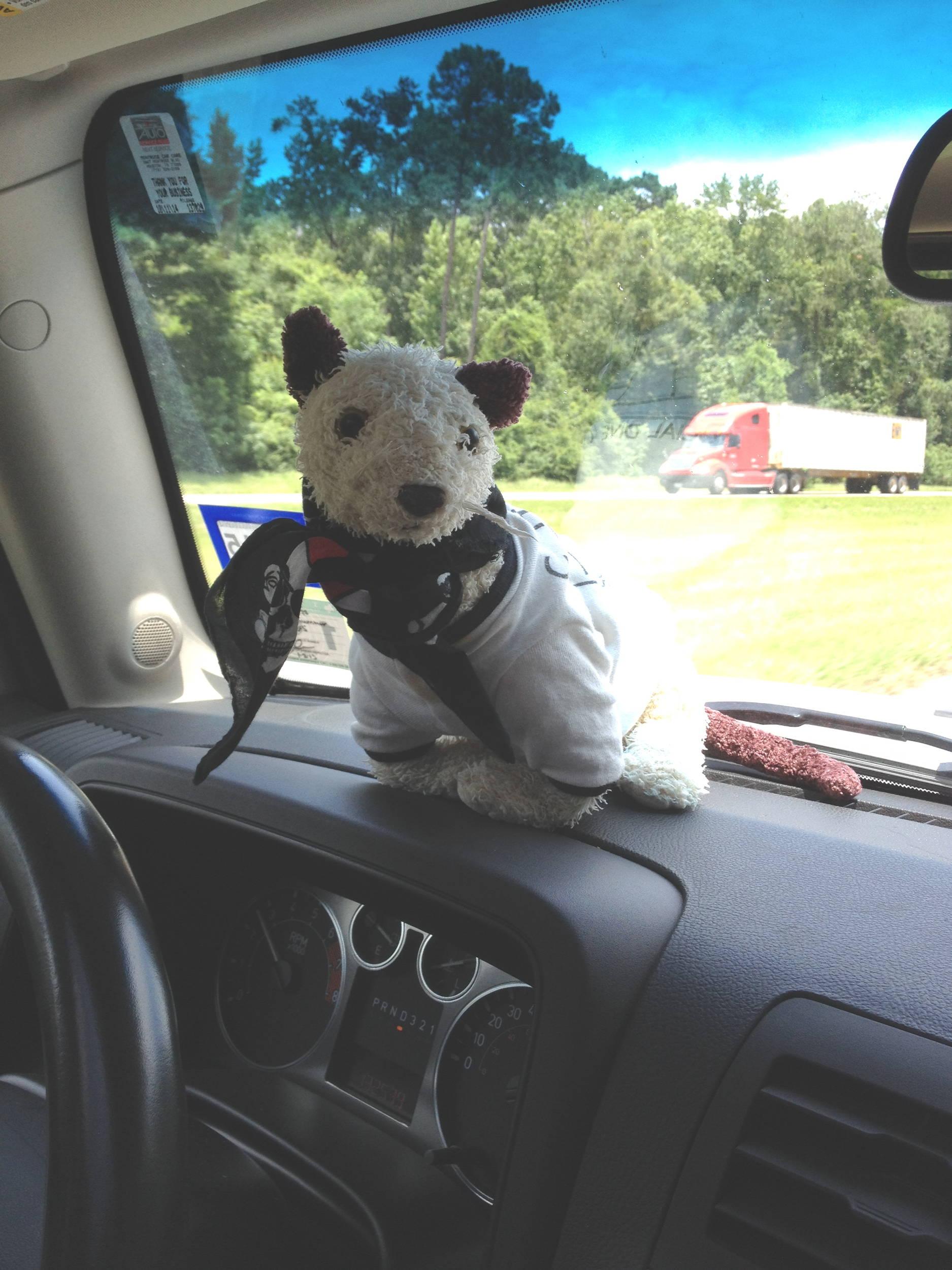 Wet is bored with I-10