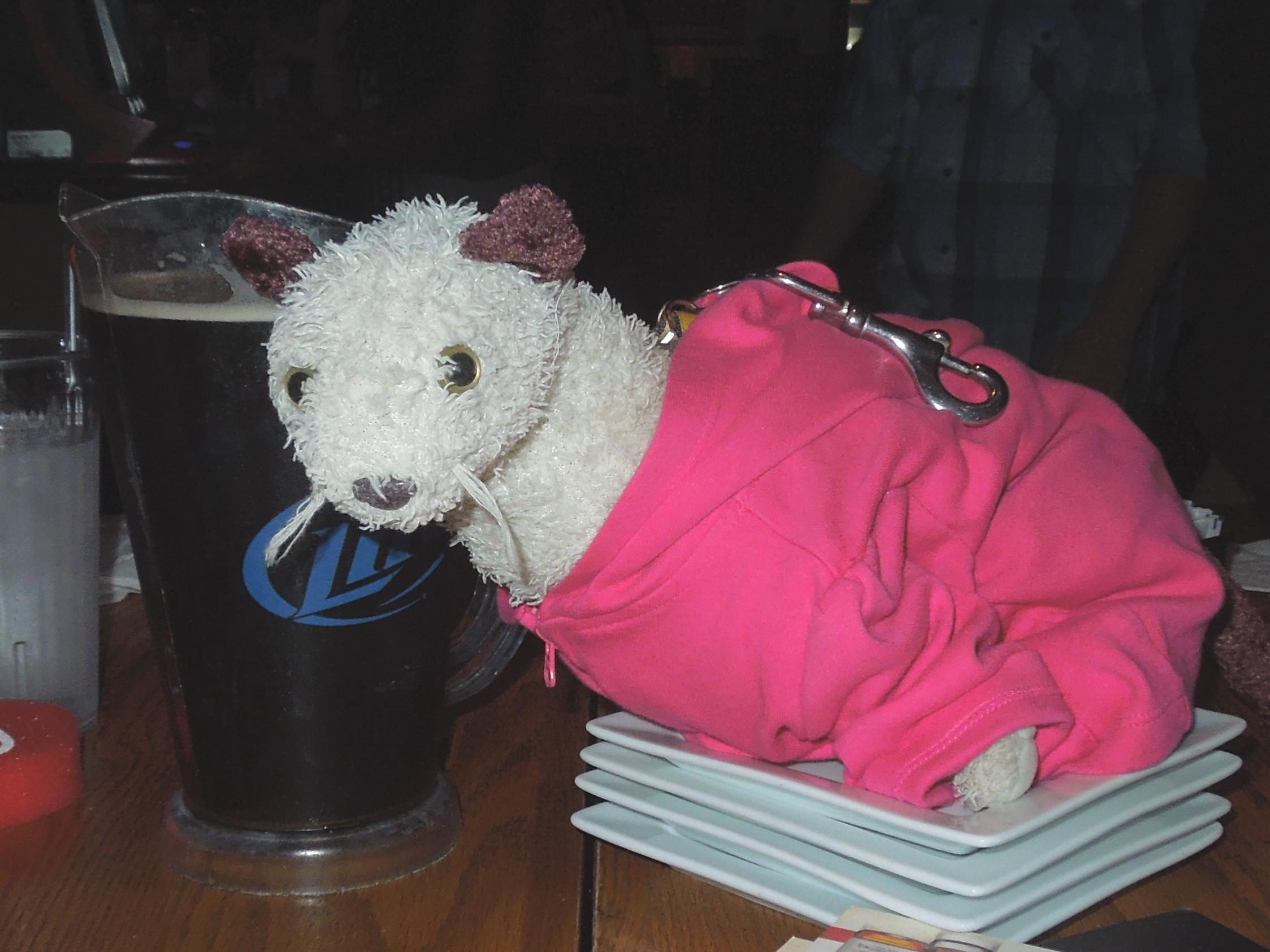 Wet likes beer - especially FREE beer