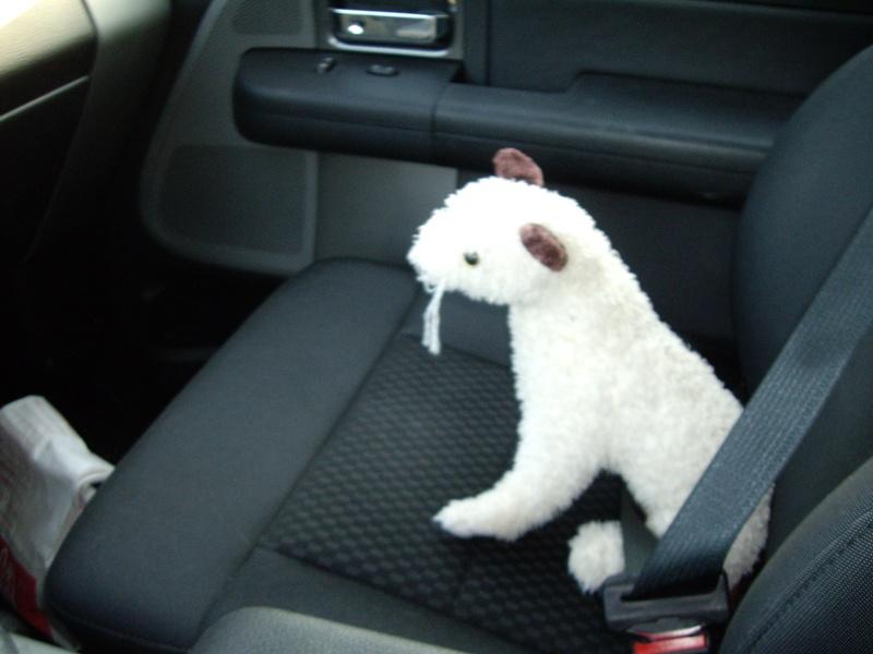 Wet Ready For The Drive Home