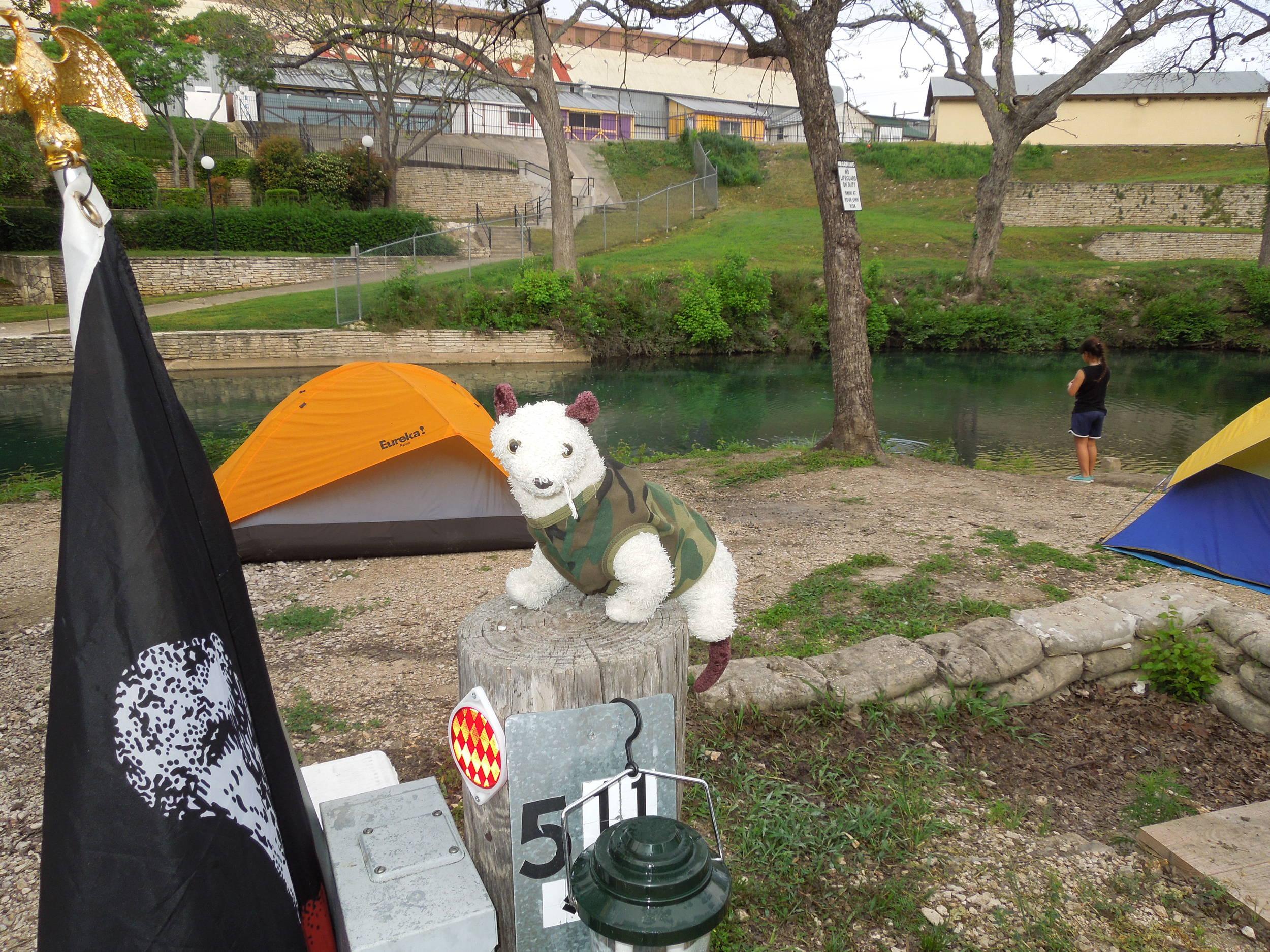 Wet stakes out the camp site