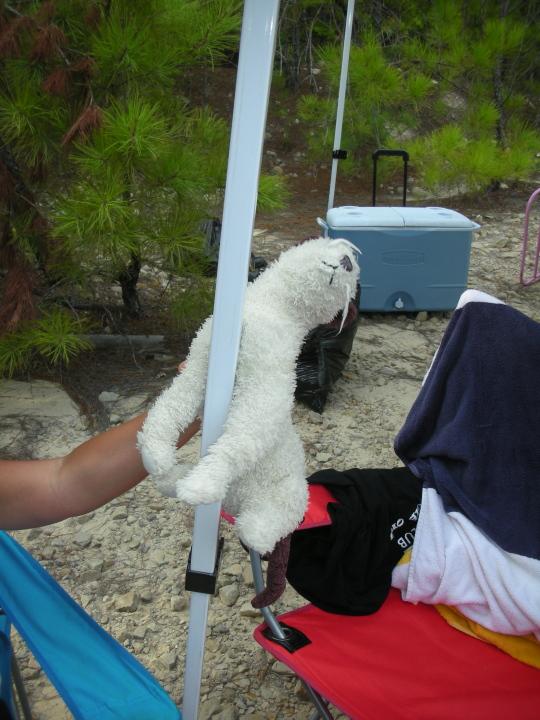 Wet's pole dance