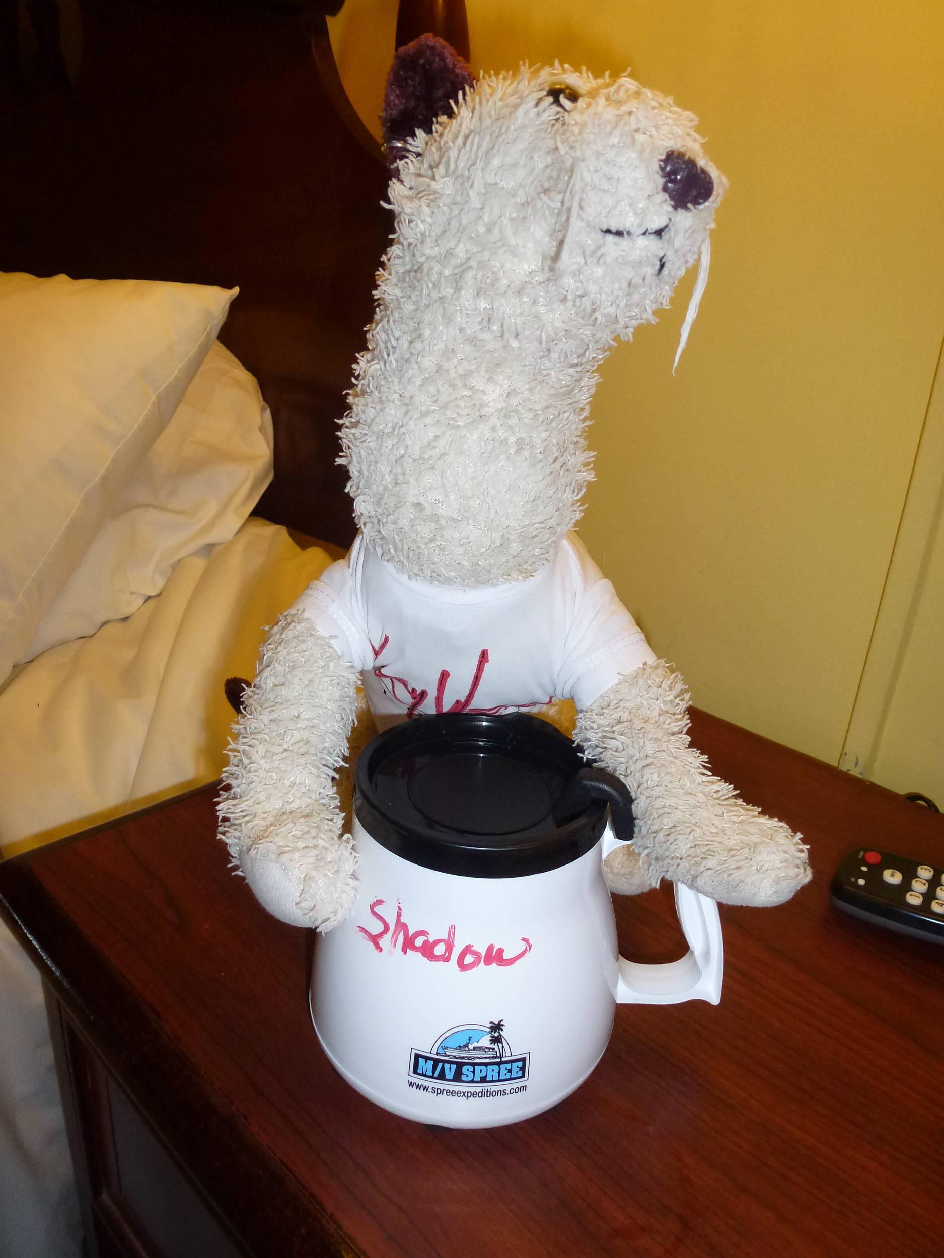 Wet's souvenir from Key West