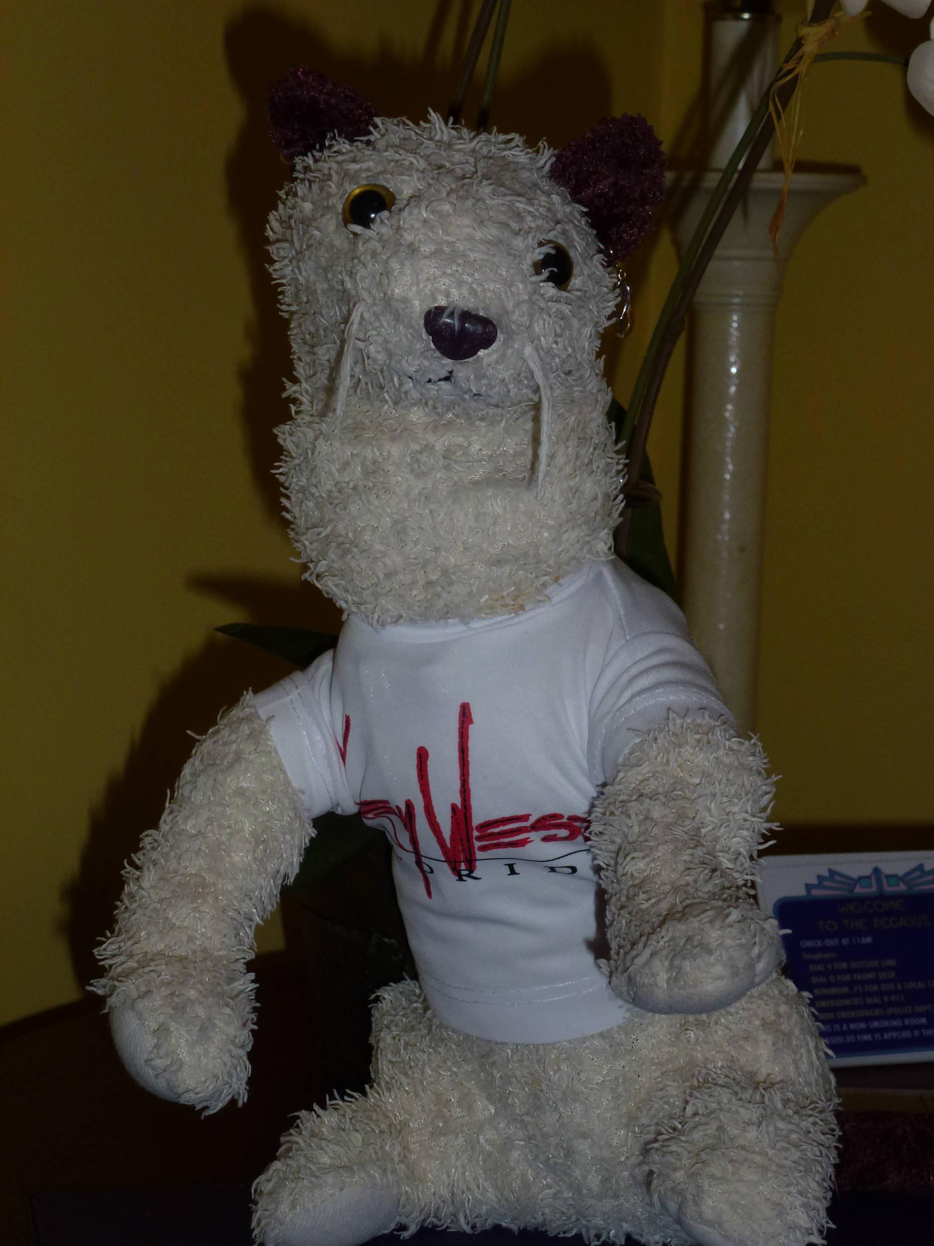 Wet's souvenir from Key West