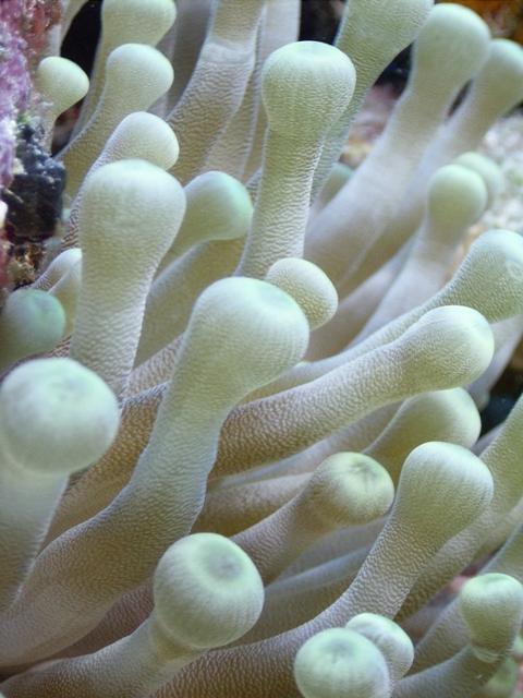 whadda youse lookin at?