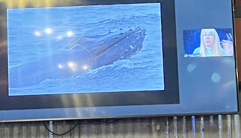 Whale Entanglement Team, our Sep speaker