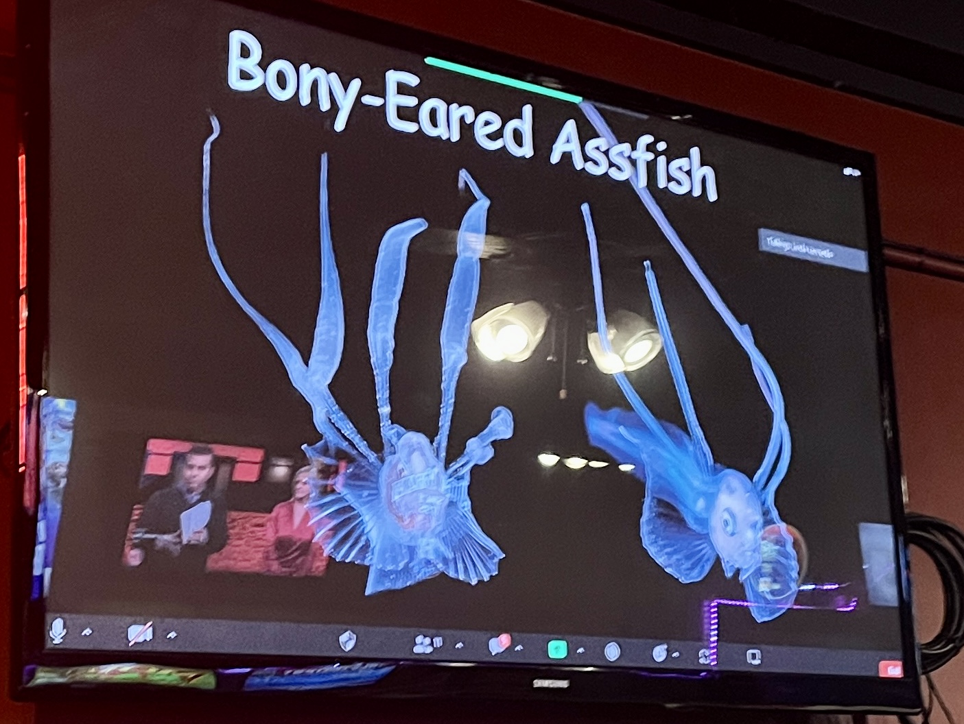 What’d you just call me?