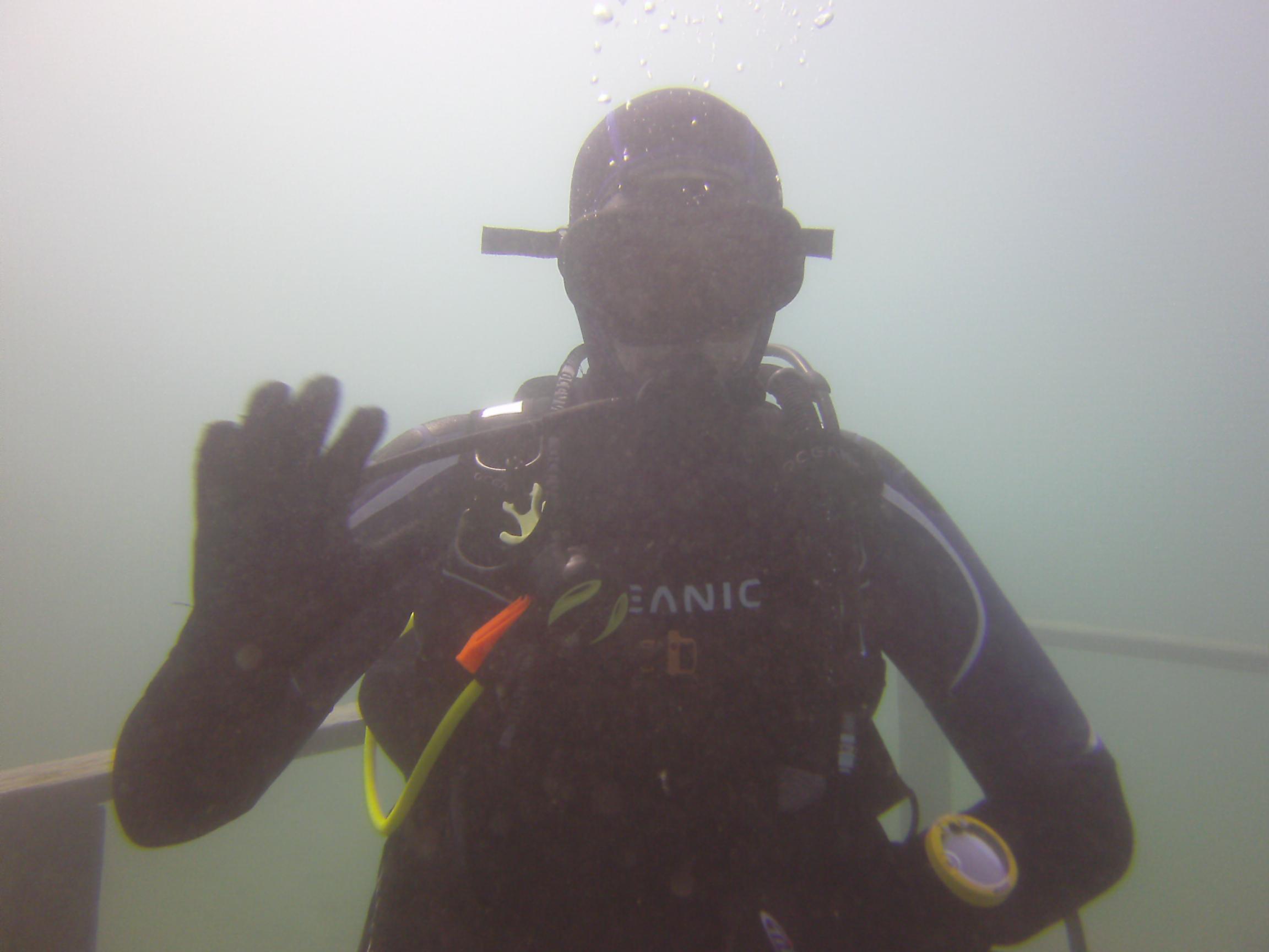 What character from Futurama does Legobloxs remind you of?