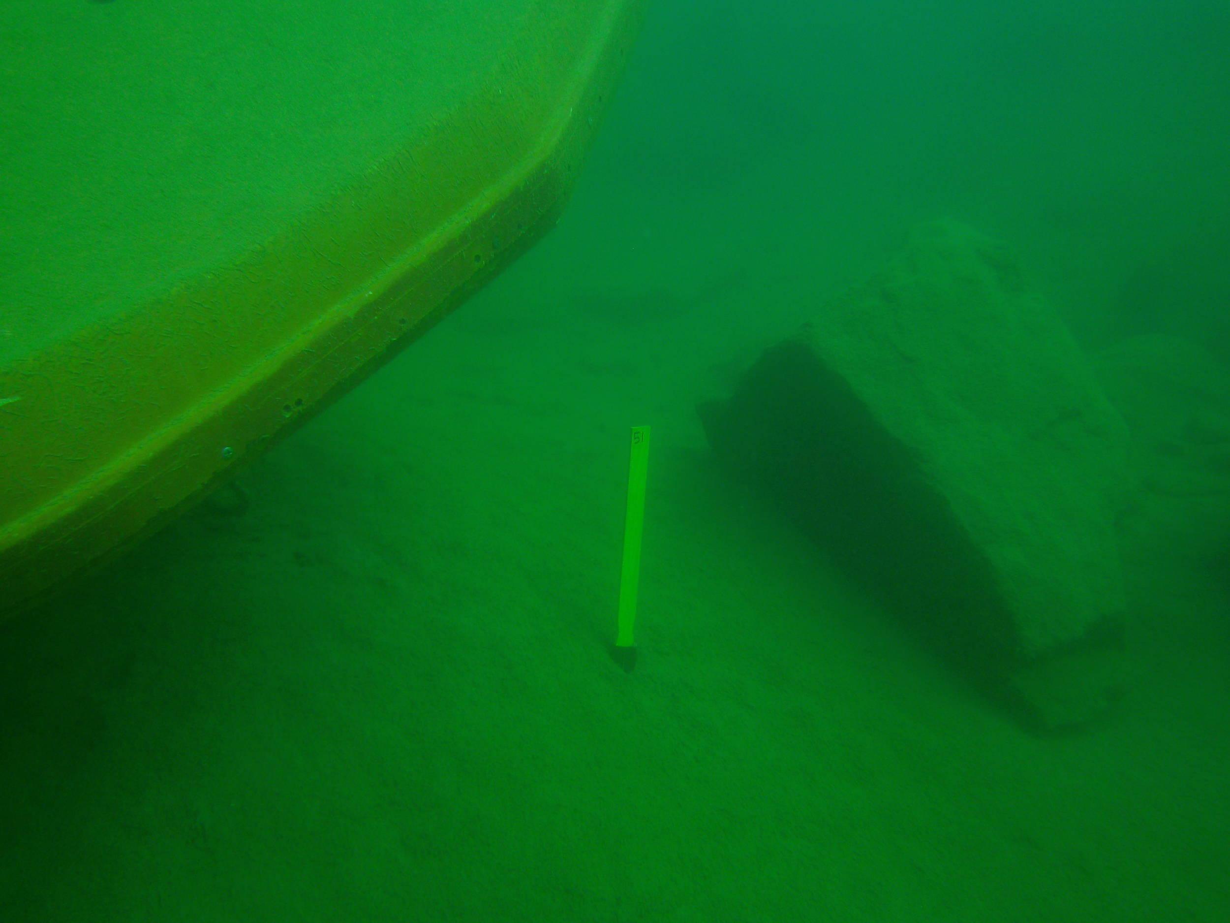 what we were looking for