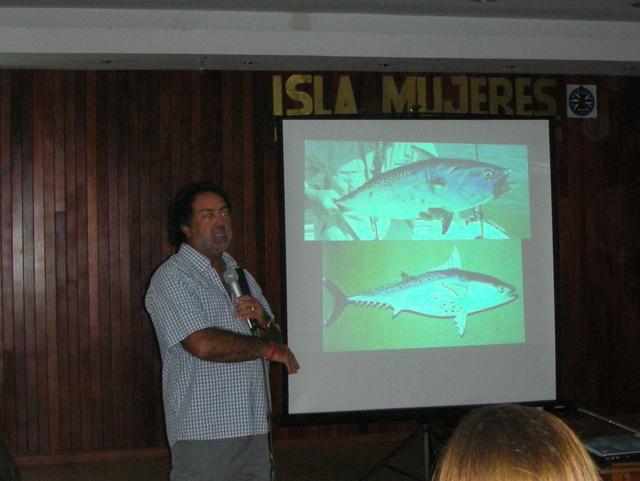 Why the whale sharks converge here