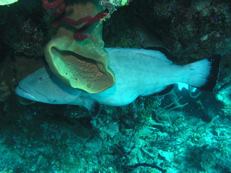 Workin at the car wash...