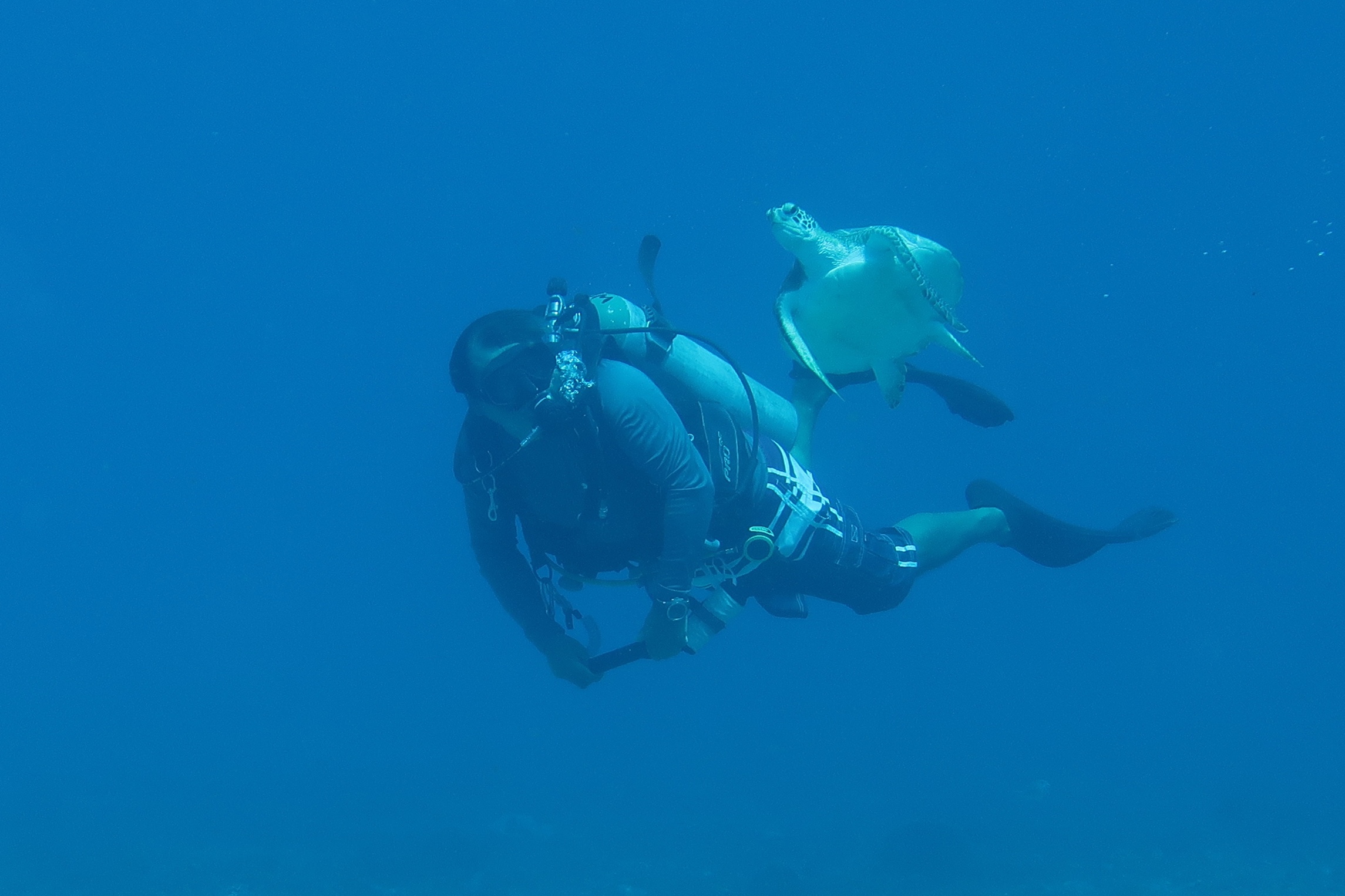 Yasser with turtle