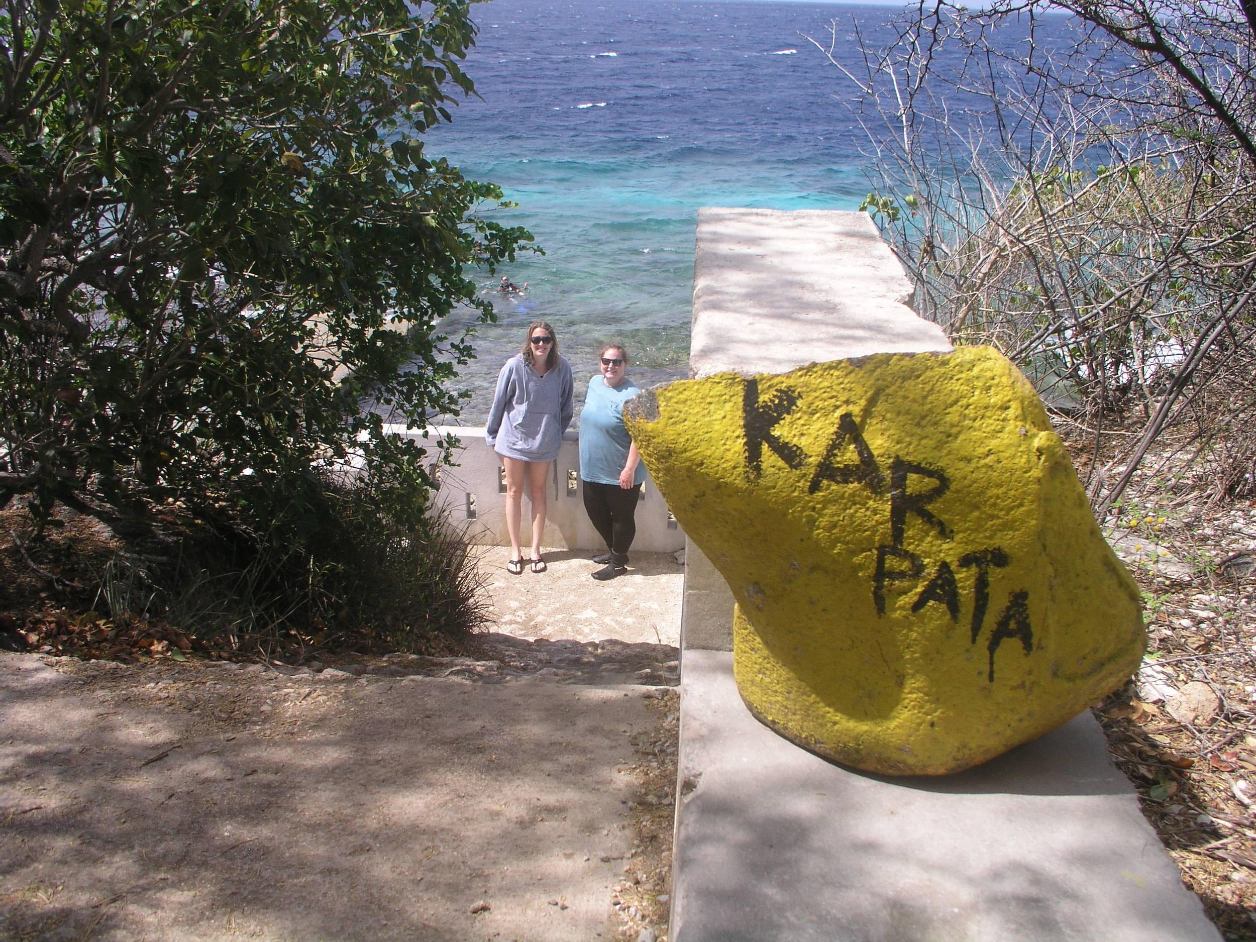 Yellow rocks = dive site