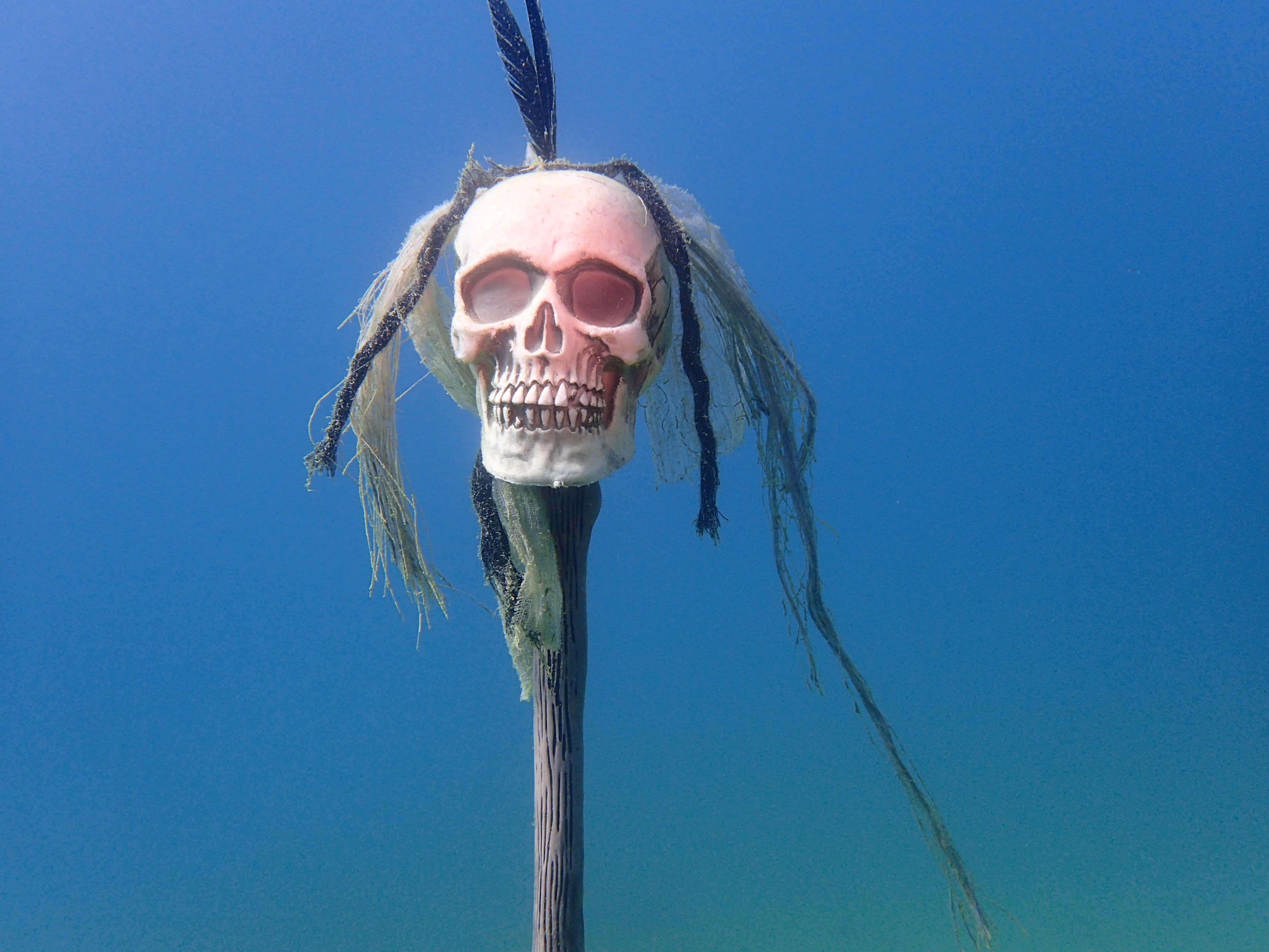 You're A Cute Skull